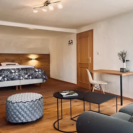 Pensjonat Waescherschloss